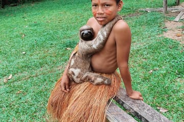 Iquitos Jungle Adventure Tour from Lima – 4 Days/3 Nights