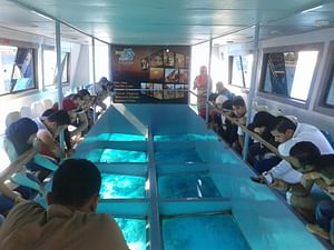 Glass Bottom Boat Tour: Explore The Red Sea Wonders "Family Tour"