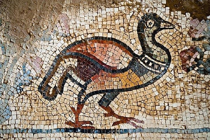 Private Mosaic Art Tour & Workshop Experience from Dead Sea to Madaba