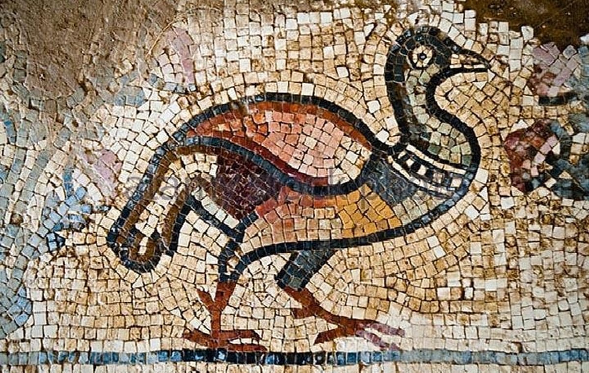 Private Full-Day Mosaic Tour with Workshop Experience from Dead Sea