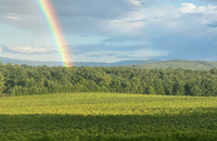 Boutique Winery Visit & Wine Tasting near Arezzo 8