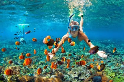 Snorkeling and Tubing in Montego Bay with Transportation