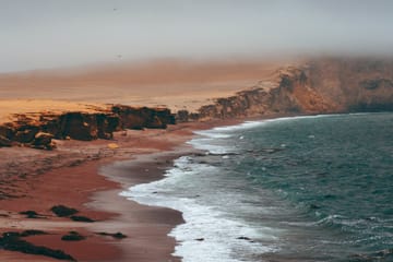Islas Ballestas Boat Tour for Wildlife in Paracas, Peru
