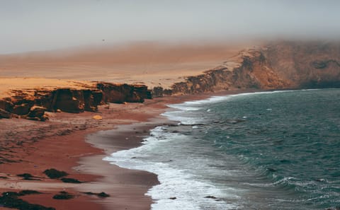 Islas Ballestas Boat Tour for Wildlife in Paracas, Peru