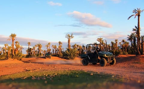ATV Buggy Adventure in Marrakech Palm Grove