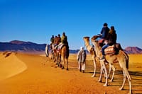 Camel Ride Tour in Marrakech 4