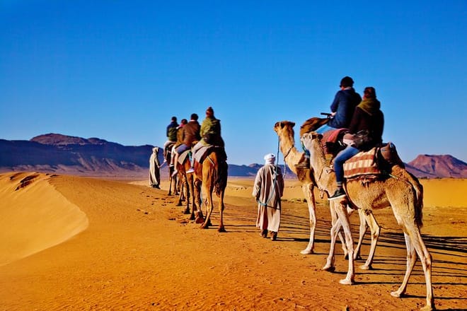 Camel Ride Tour in Marrakech 4