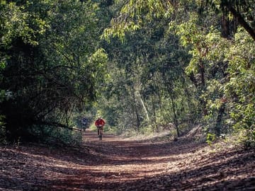 Karura forest nature walk