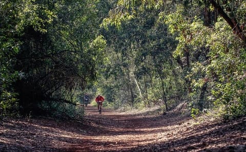 Karura Forest Bike and Walking Tour in Nairobi