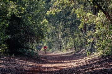 Karura Forest Bike and Walking Tour in Nairobi
