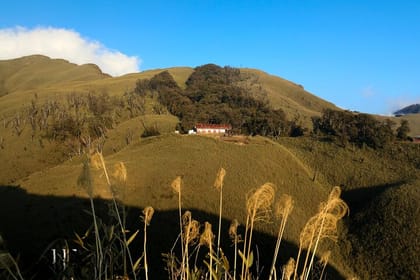 Nagaland & Assam Soft Trekking Tour in Tribal Village