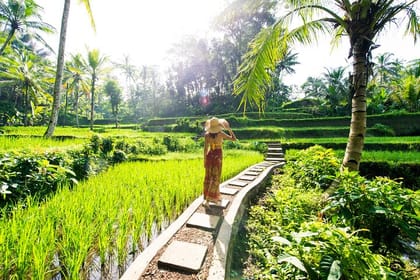 Rice Terraces Sacred Temples and Waterfall Tour from Ubud