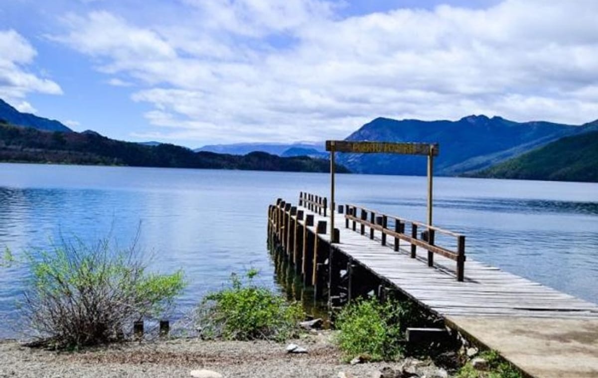 Hua Hum Day Trip from San Martin de los Andes including Lanin National Park