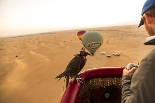 Hot Air Balloon Ride in Dubai with Falconry and Breakfast