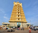 Mysore in a Day: Private Tour from Bangalore 2