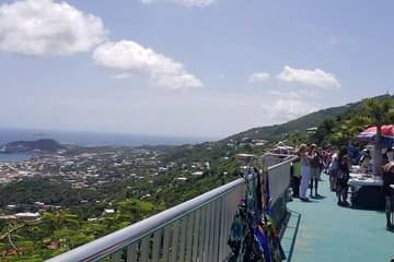 Scenic Skyline Drive and Beach Tour in Charlotte Amalie