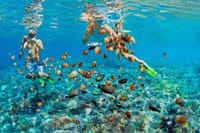 Bali Blue Lagoon Snorkeling with Lunch & Private Hotel Transfer 9