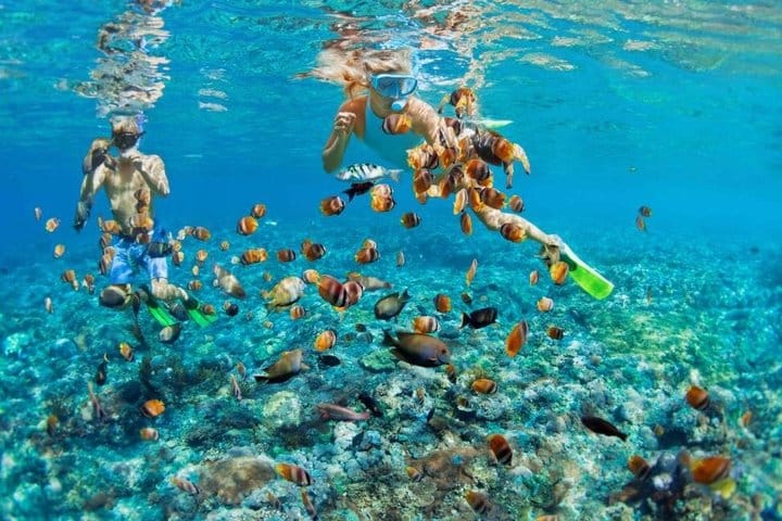 Bali Blue Lagoon Snorkeling with Lunch & Private Hotel Transfer 9