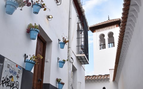 Albayzin & Sacromonte neighborhood private tour