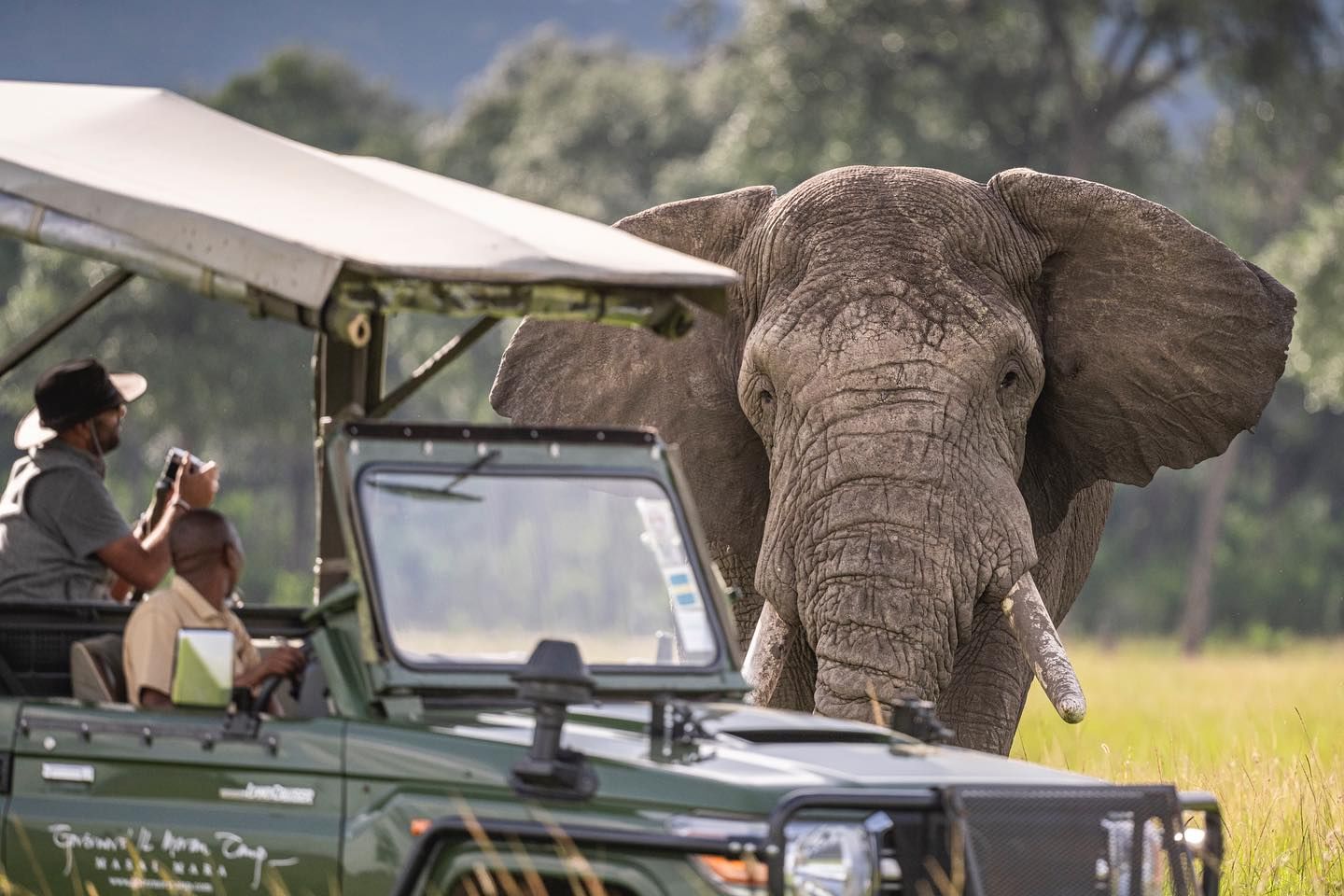 5 Days Nairobi & Maasai Mara Fly In Safari