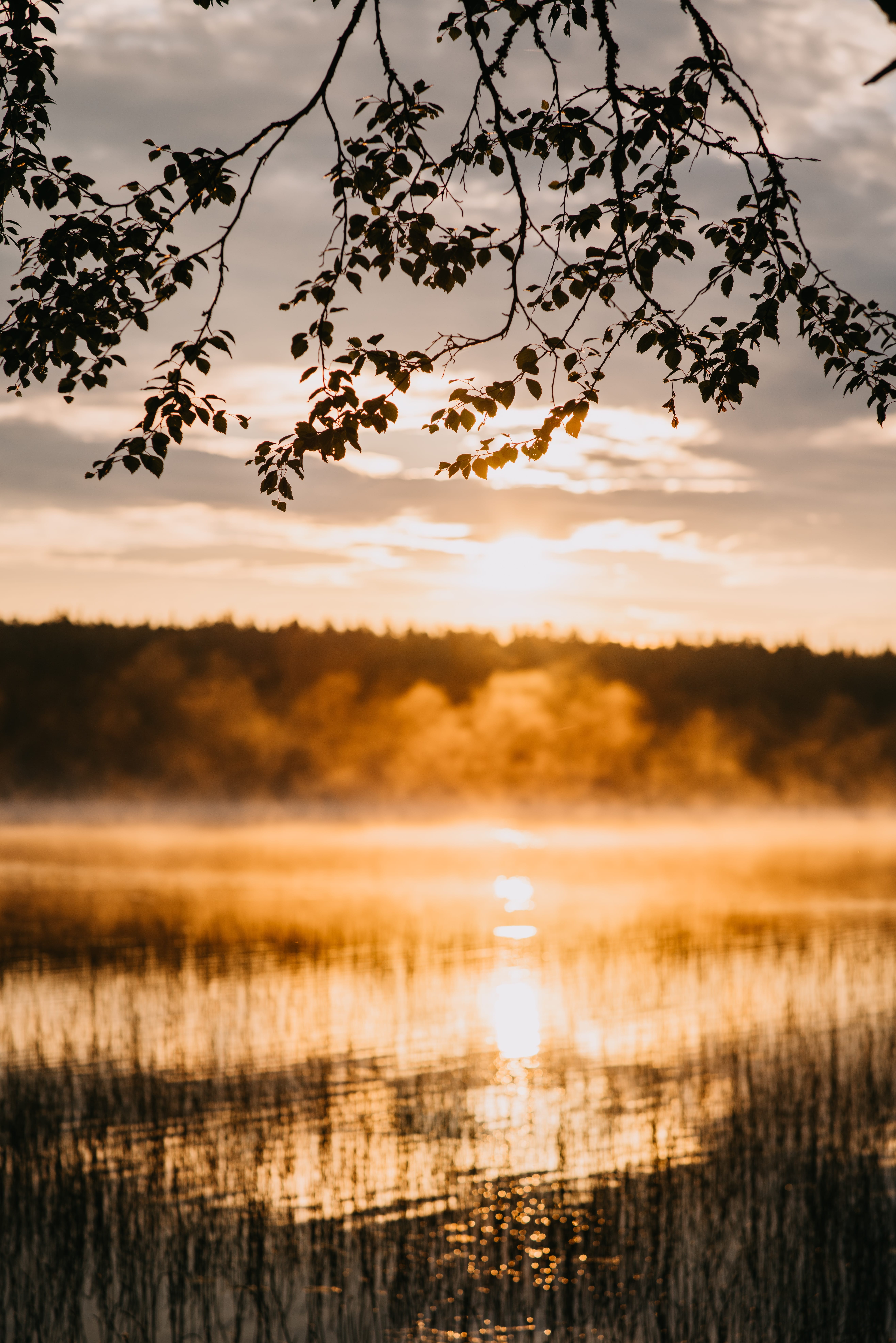 Come spend morning with canoeing 