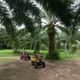 Phuket Eco Exploration Raft Ride & Discover Tour from Khao Lak