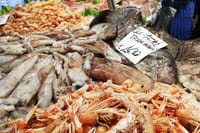 Fish Shopping in Rialto and Home Cooking in Murano 4