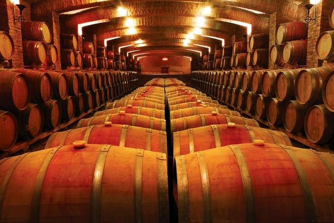 Private San Antonio Port Pre-Post Cruise Santiago City Tour and Undurraga Winery Tour: Undurraga Vineyard Experience with Premium Wine Tasting