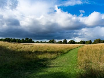 pheonix park