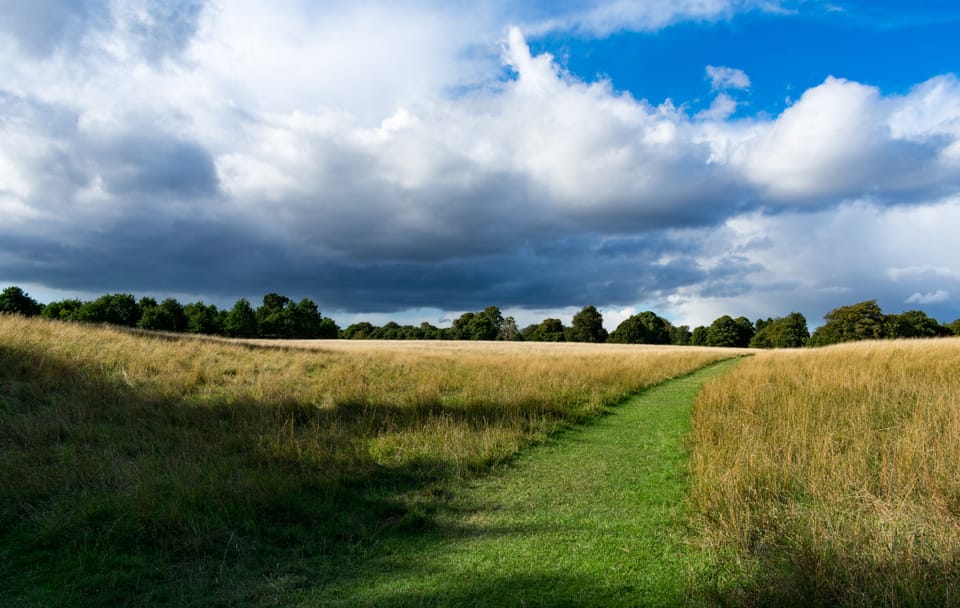 Dublin City Break: 6-Day Tour with Accommodation and Transfers