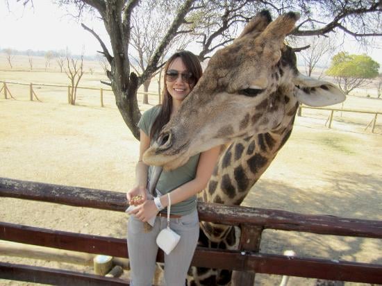 Soweto and Lion Park Tour 6