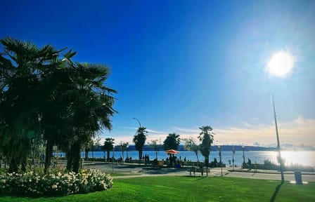 Vancouver Day Trip | Grouse Mountain & Capilano Suspension Bridge Private