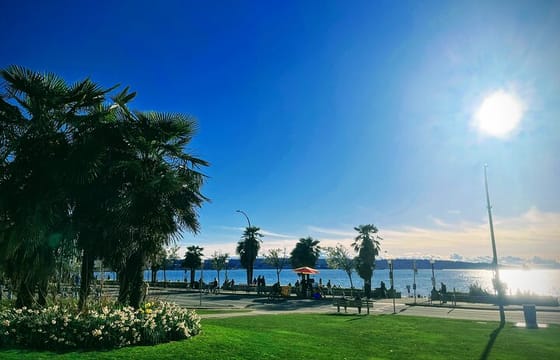 Vancouver Day Trip | Grouse Mountain & Capilano Suspension Bridge Private