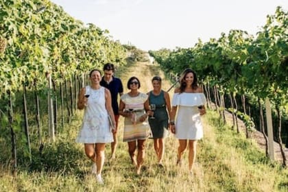 Valpolicella Wine Tasting and Cultural Tour in Marano di Valpolicella