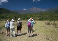 Arusha National Park Day tour  1
