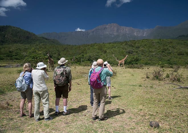 Arusha National Park Day tour 