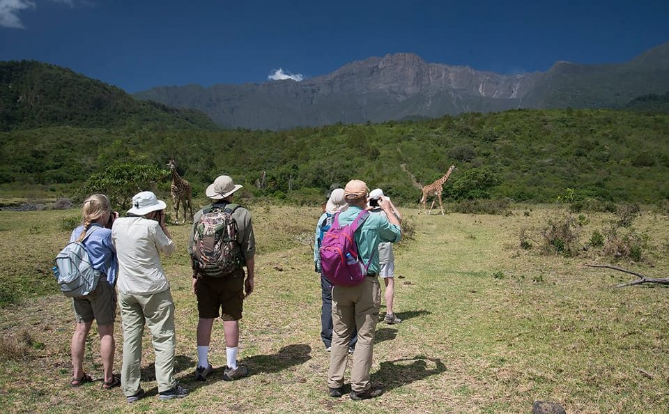 Arusha National Park Day tour