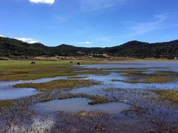 Lijiang: Lashi Lake Horse Riding & Tea Horse Road Trail Day Tour