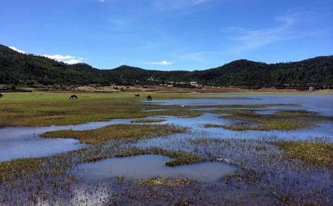 Horse Riding Tour at Lashi Lake in Lijiang
