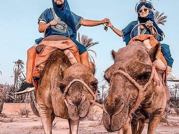 Marrakech Camel Ride