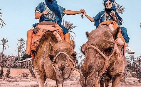 Marrakech Desert Camel Ride