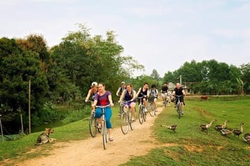 Full Day Tour of Ninh Binh and Bai Dinh from Hanoi
