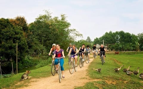 Full Day Tour of Ninh Binh and Bai Dinh from Hanoi