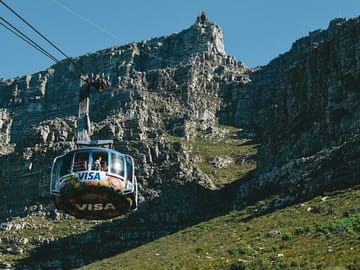Table Mountain and Boulders Beach Penguins Half-Day Tour