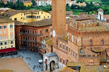 Explore Siena's Cathedral and Piazza del Campo on a Guided Tour