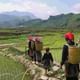 Sapa 3 Days Trekking Tour ( Overnight Train + Homestay + Hotel )