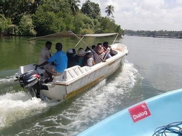 Madu River Boat Safari Tour in Balapitiya, Sri Lanka