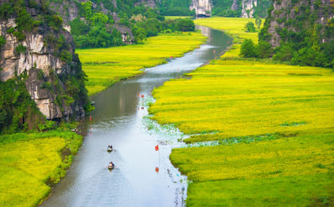 7-Day Cultural Tour of Hanoi, Hai Phong, and Cau Giay