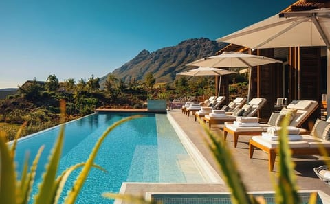 Full Day Wine Tasting Tour in Cape Winelands from Cape Town