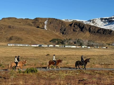 1 Hour Private Horseback Riding - Join us for an unforgettable adventure, where you can connect with these magnificent animals., photo 4